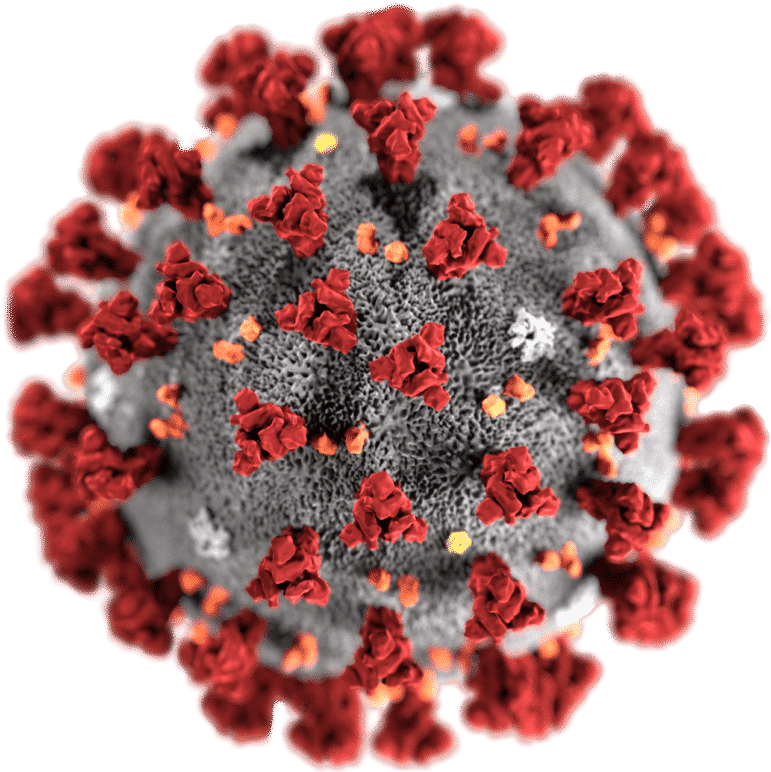 صورة تقريبيّة مجهريّة لفيروس كورونا