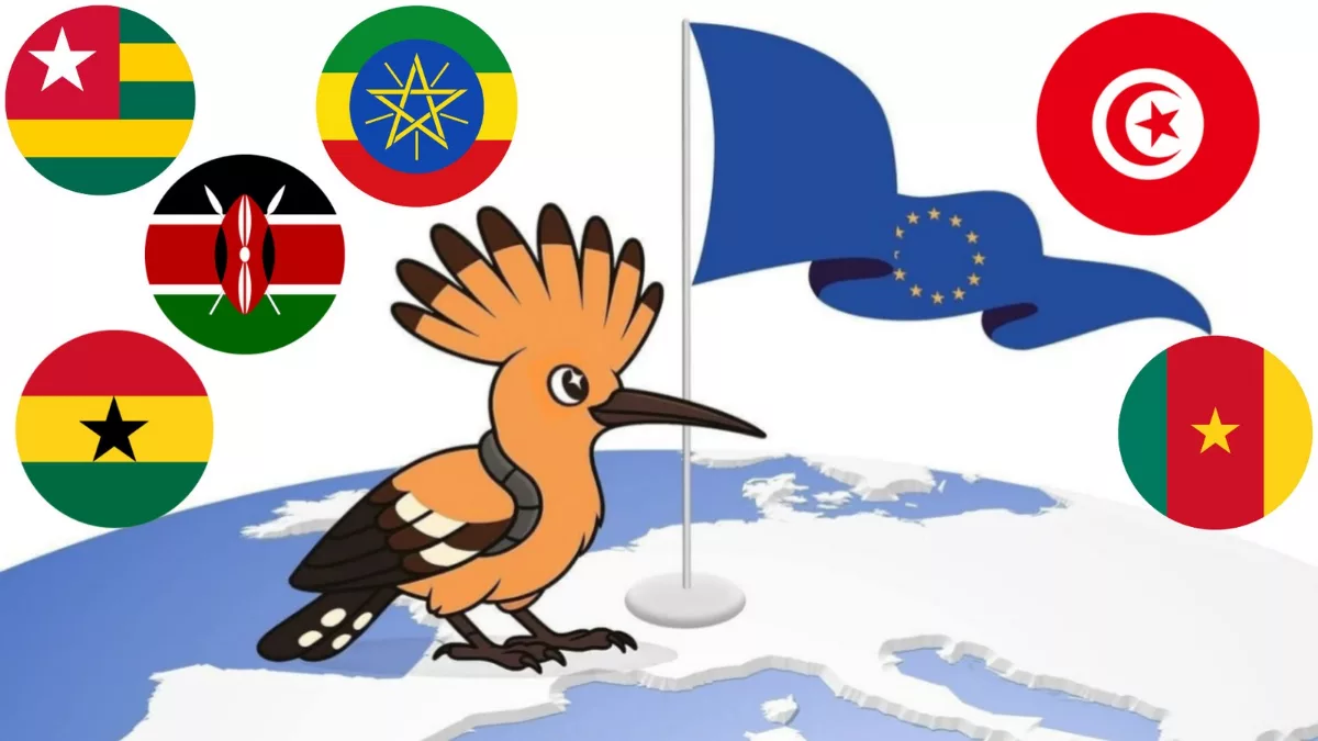 WIDU.africa